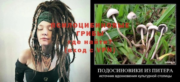соль ск Грязи