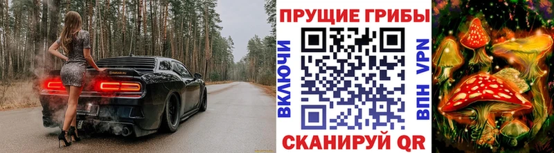 blacksprut ссылки  Ноябрьск  Псилоцибиновые грибы мухоморы 