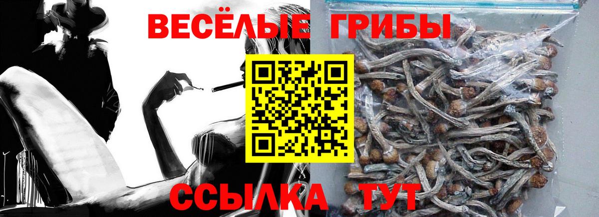 Псилоцибиновые грибы GOLDEN TEACHER  Вход с VPN  Ноябрьск 