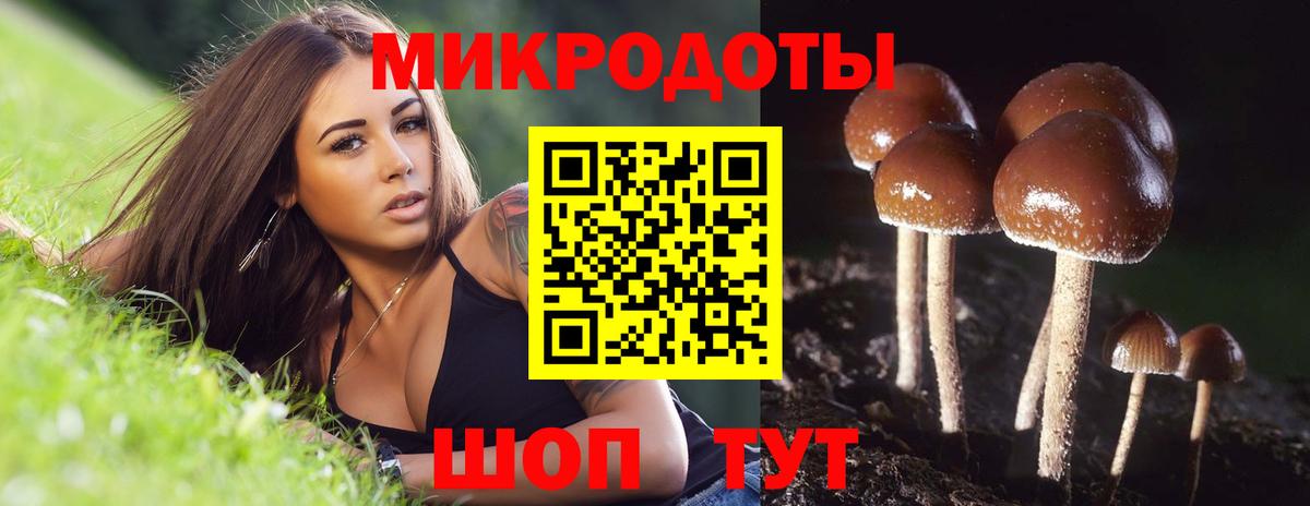 Галлюциногенные грибы Psilocybine cubensis Ноябрьск